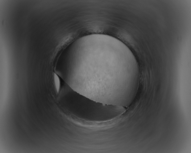 X0000086980023200705071426