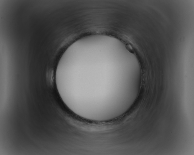 X0000086980024200705071426