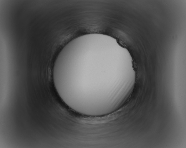 X0000086980025200705071425