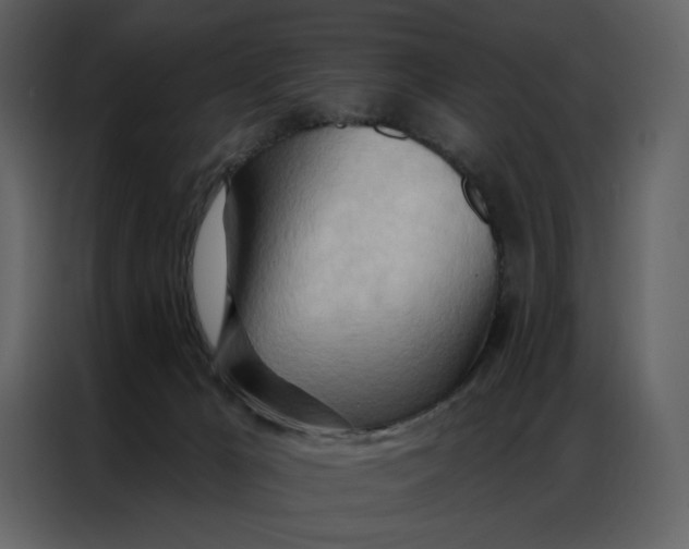 X0000086980029200705071425