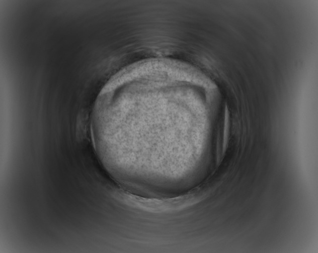 X0000086980030200705071425