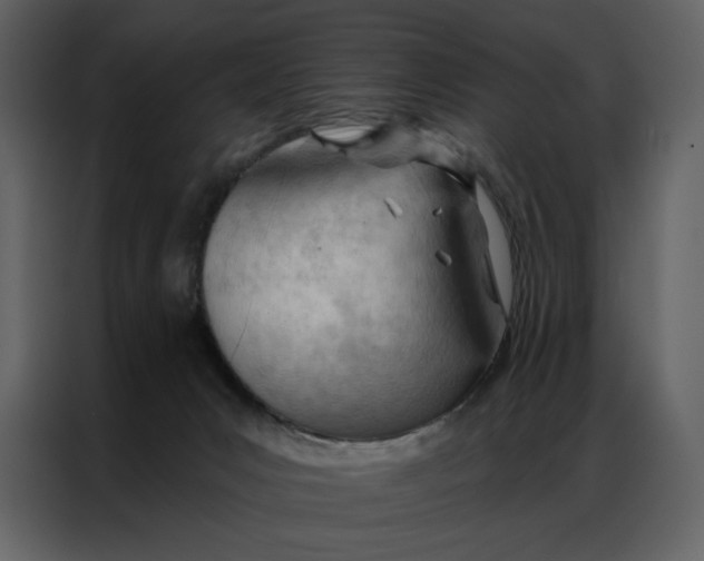 X0000086980031200705071425