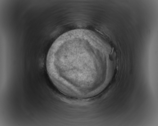 X0000086980032200705071425