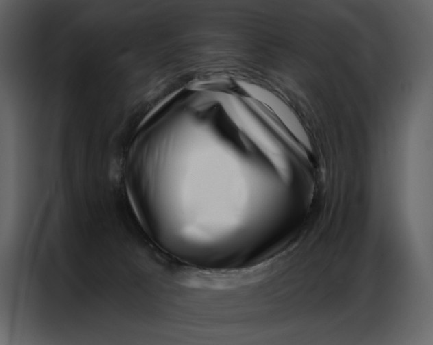 X0000086980033200705071425