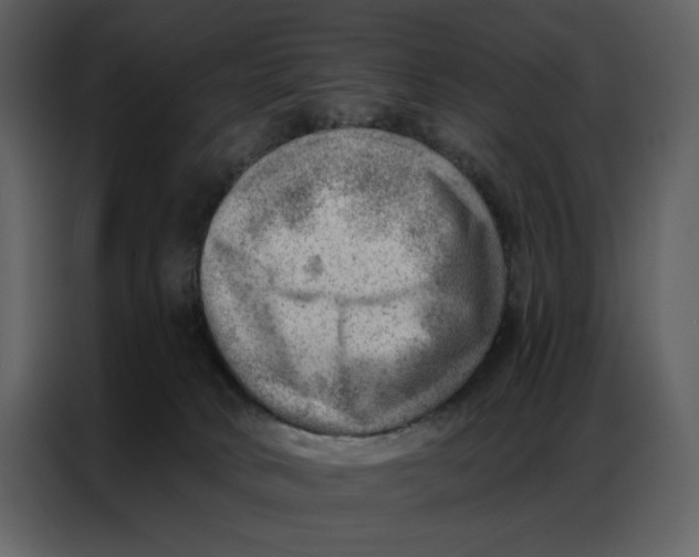 X0000086980034200705071425