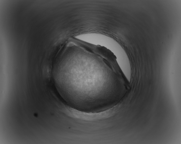 X0000086980039200705071425