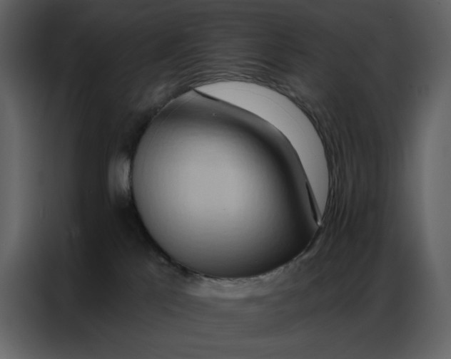 X0000086980041200705071425