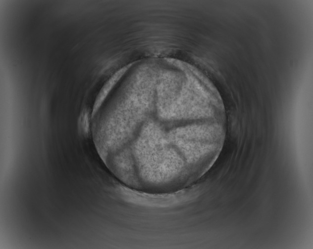 X0000086980042200705071425