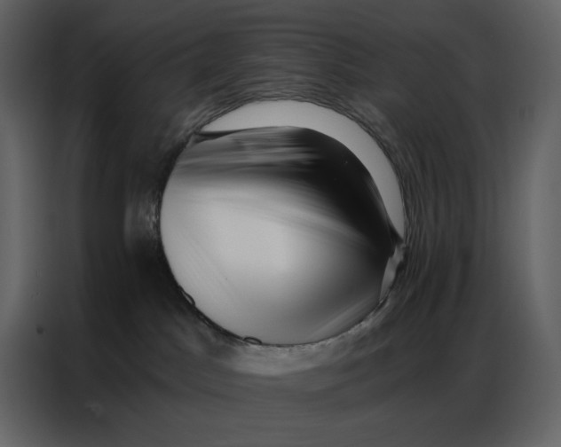 X0000086980045200705071425