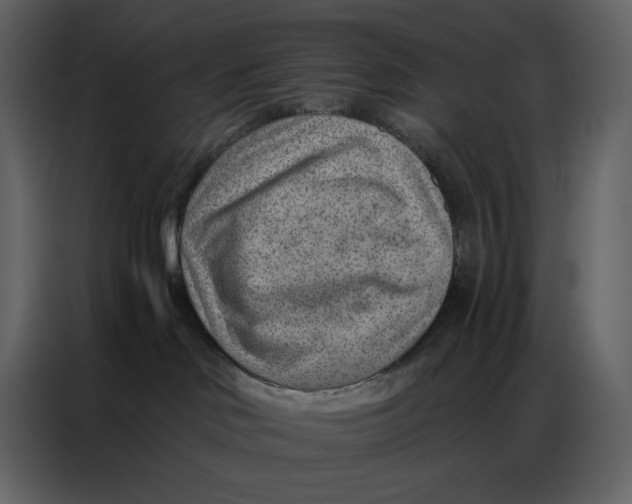 X0000086980046200705071425