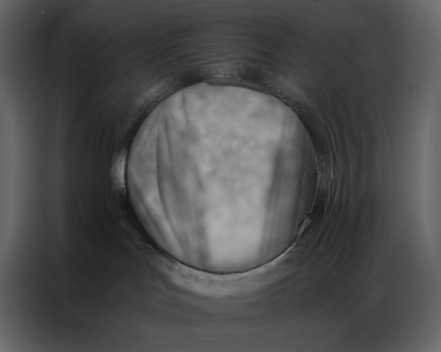 X0000086980047200705071425