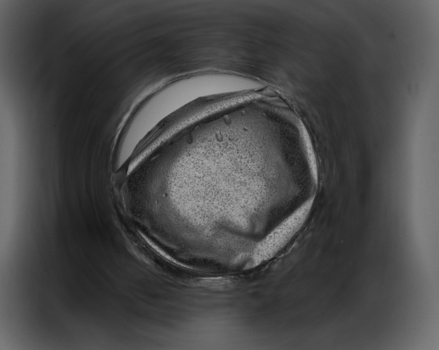 X0000086980050200705071425