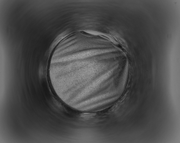 X0000086980051200705071425