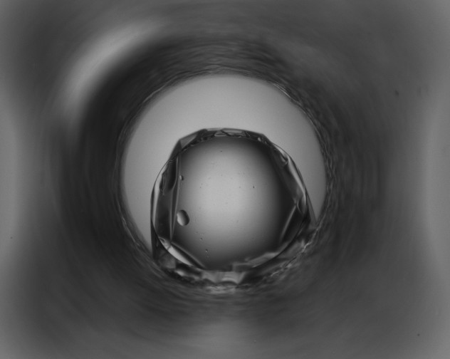 X0000086980052200705071425