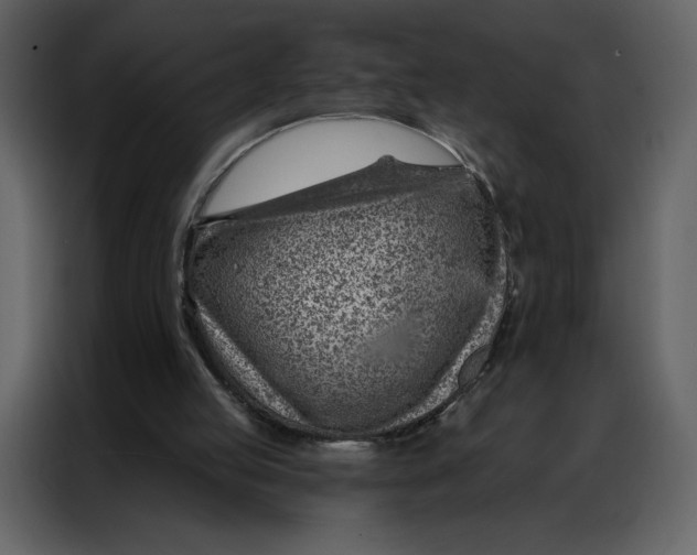 X0000086980053200705071425