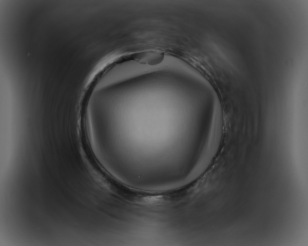 X0000086980054200705071425