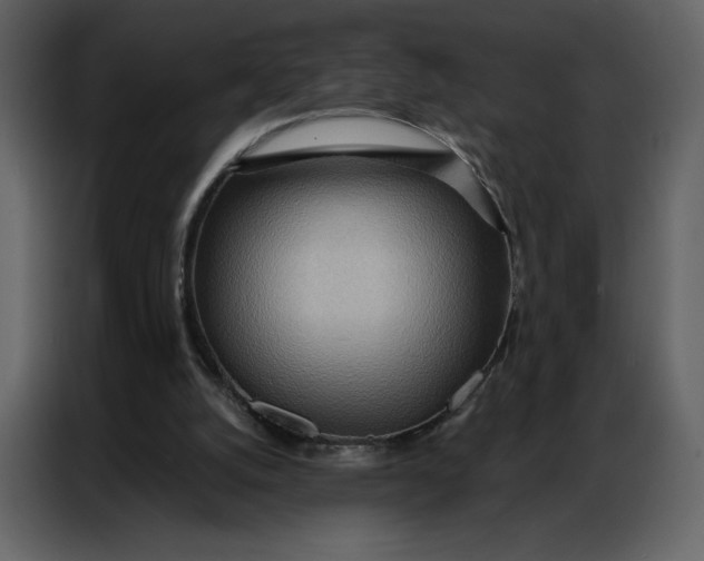 X0000086980056200705071425