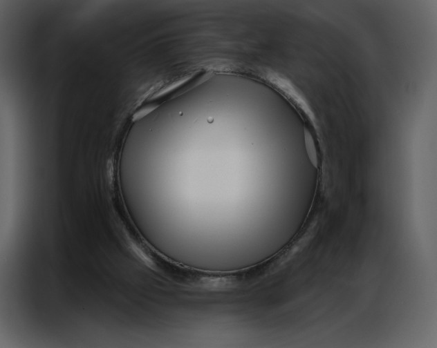 X0000086980057200705071425