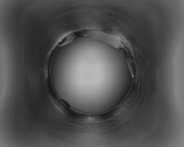 X0000086980060200705071425