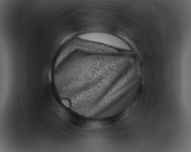 X0000086980062200705071425