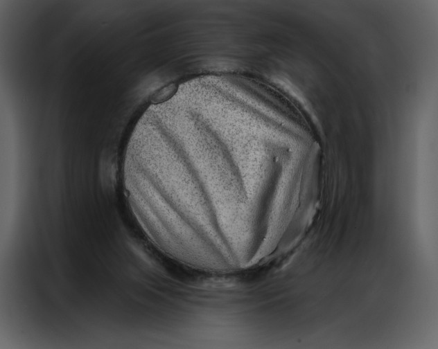 X0000086980063200705071425