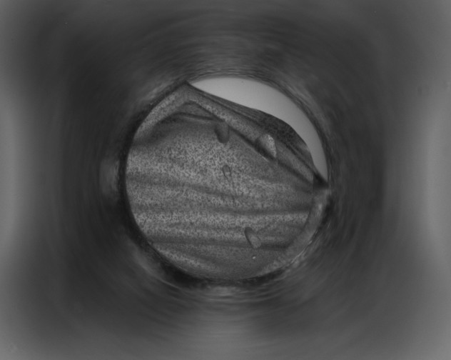 X0000086980066200705071425