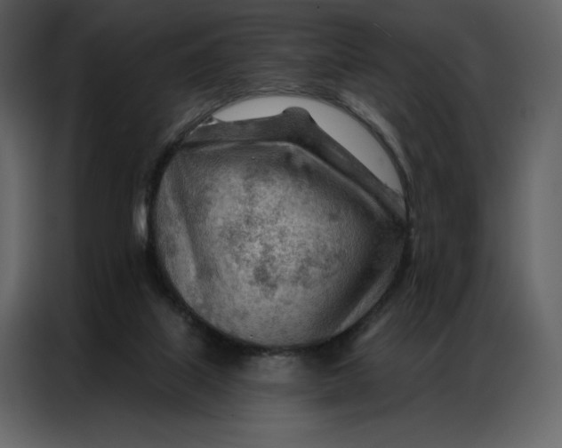 X0000086980067200705071425