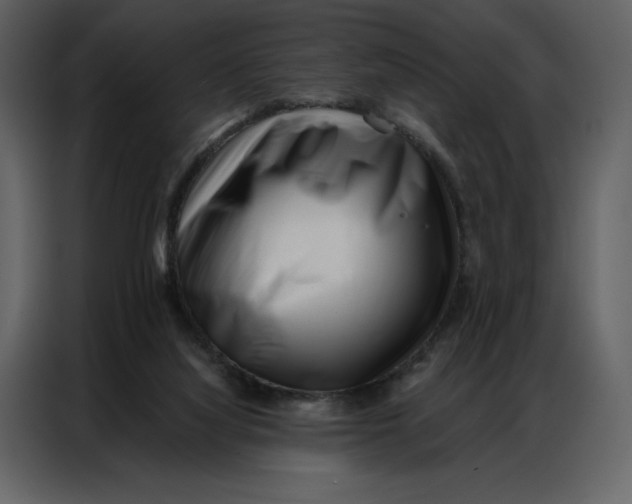 X0000086980068200705071425