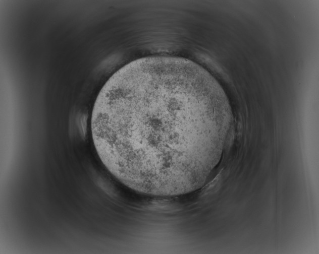 X0000086980070200705071425