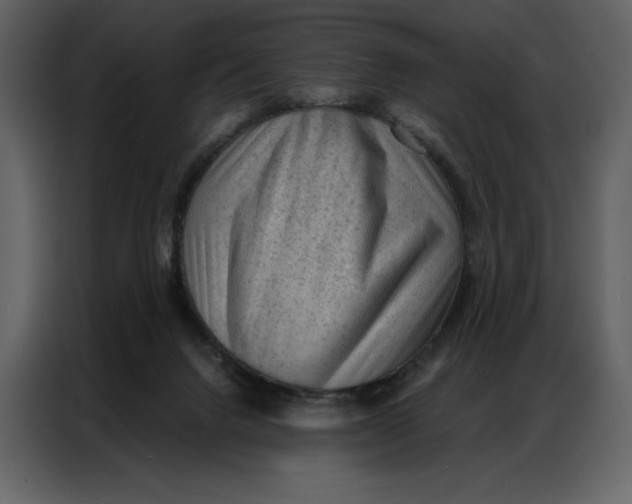 X0000086980072200705071425