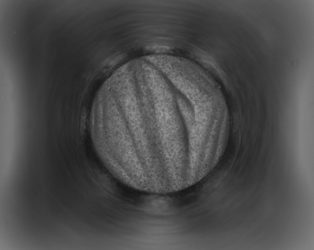 X0000086980073200705071425