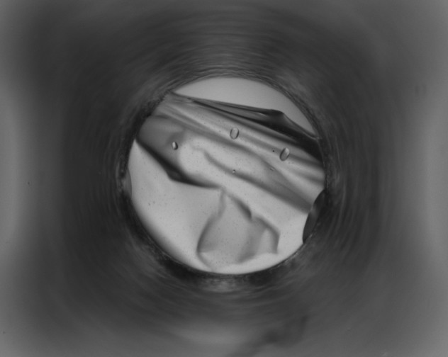 X0000086980074200705071425