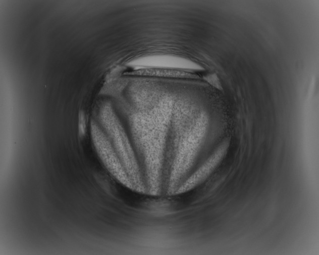 X0000086980075200705071425