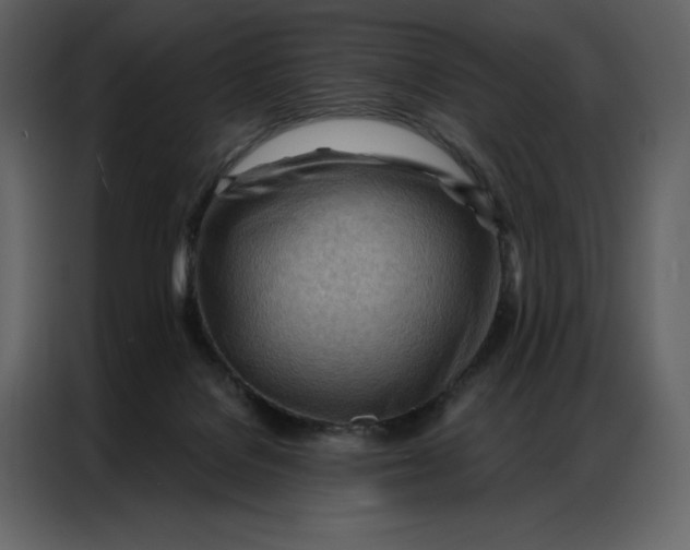 X0000086980076200705071425