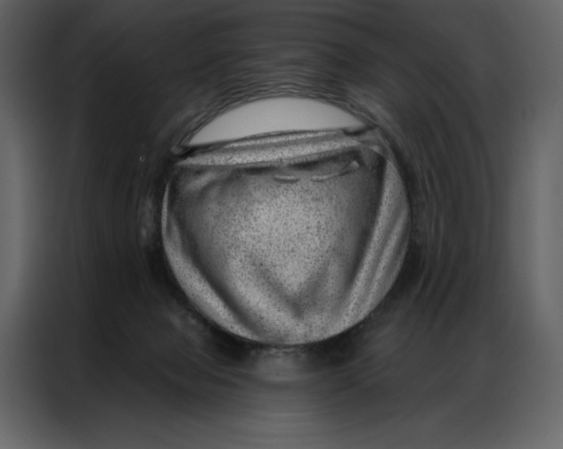 X0000086980077200705071425