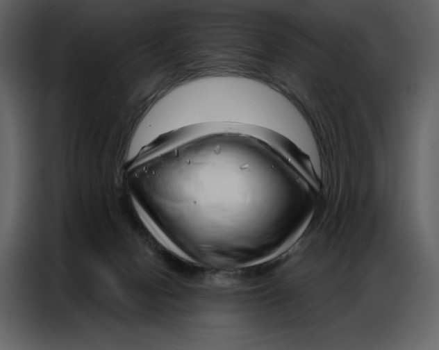 X0000086980078200705071425