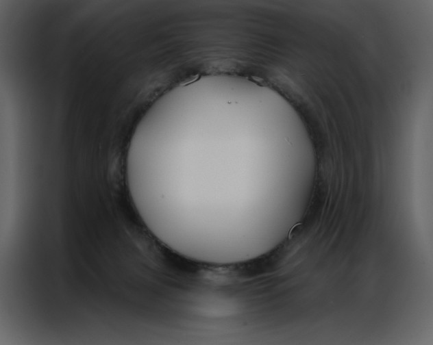 X0000086980079200705071425