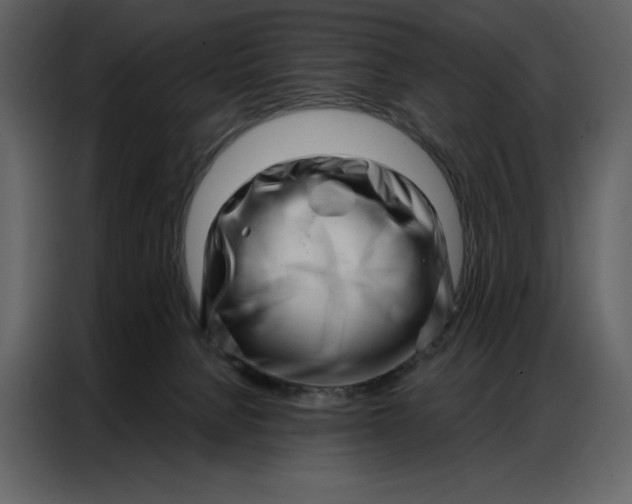 X0000086980080200705071425