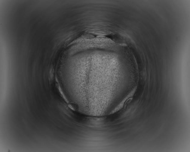 X0000086980081200705071425