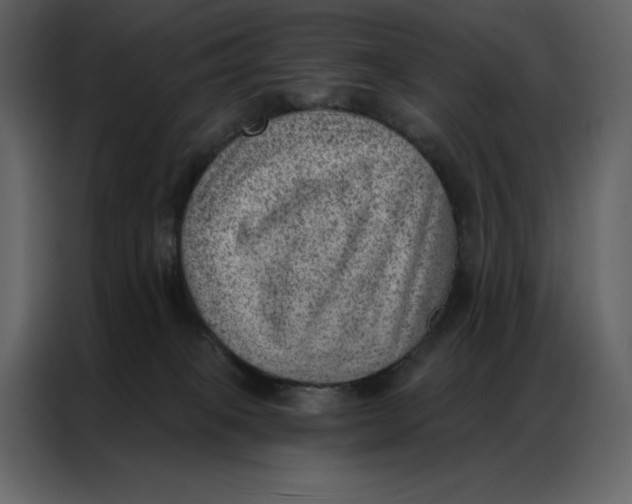 X0000086980085200705071425