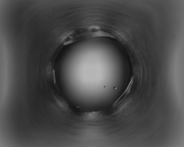 X0000086980092200705071425