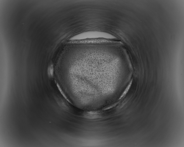 X0000086980095200705071425