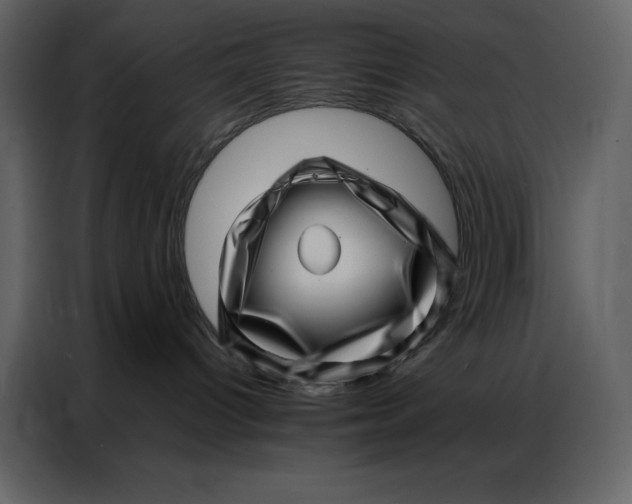 X0000086980096200705071425