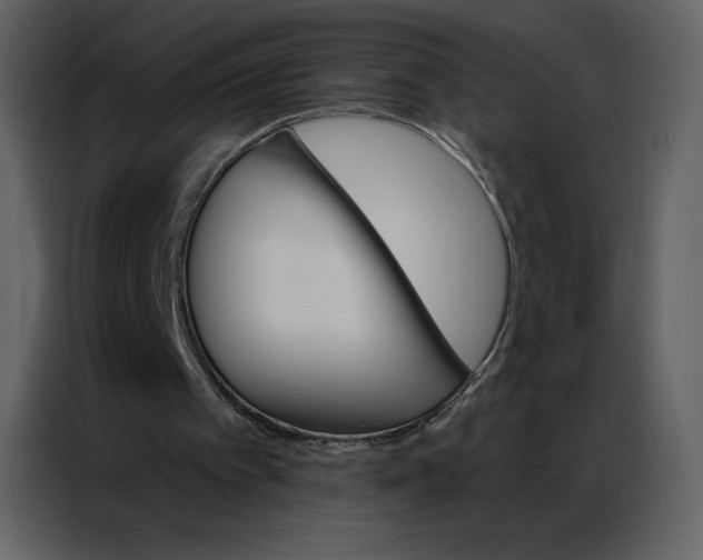 X0000086980097200705071425