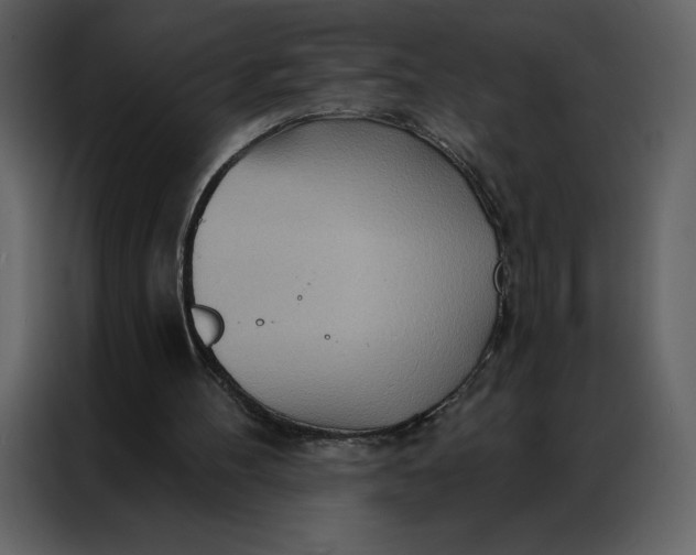 X0000086980100200705071425