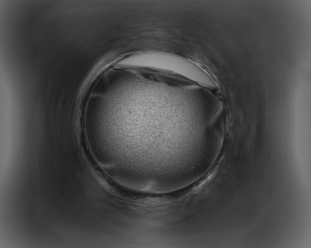 X0000086980101200705071425