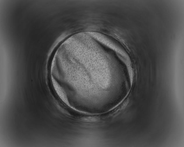 X0000086980102200705071425