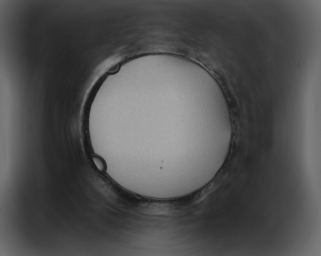 X0000086980104200705071424