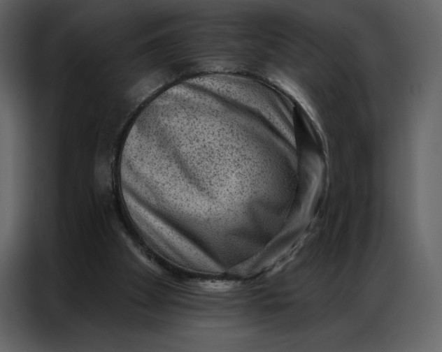 X0000086980105200705071424