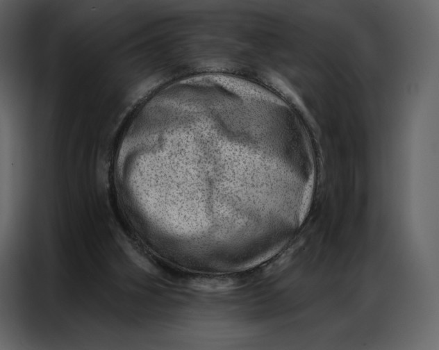 X0000086980106200705071424